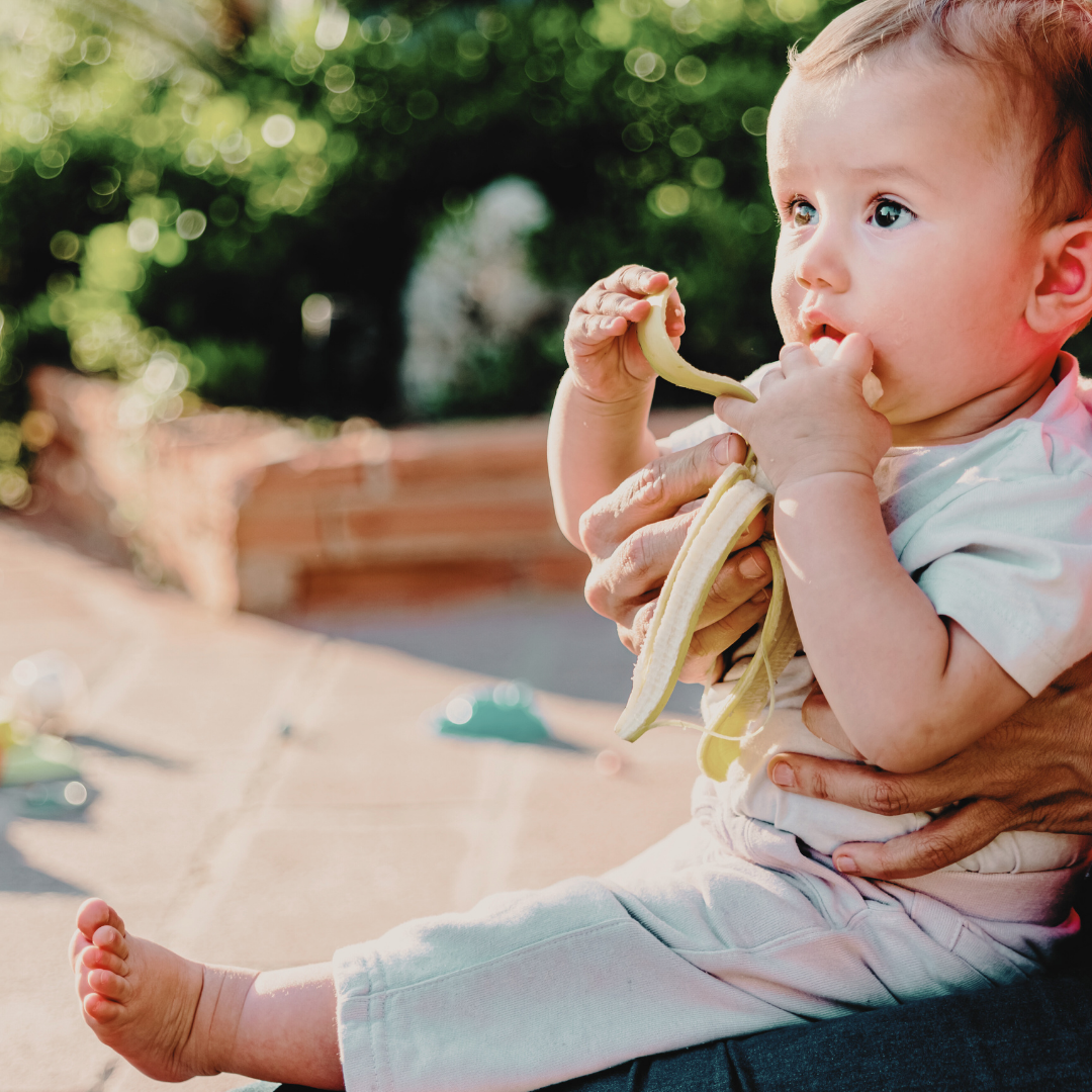 Baby Led Weaning