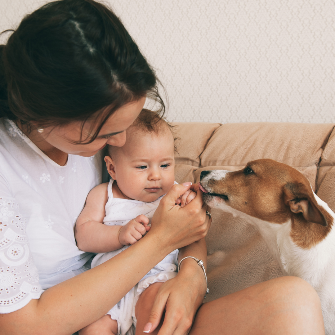 Introducing Your Baby to Pets: Safety Tips and Benefits