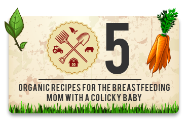 5 organic anti colic recipes for the breastfeeding mother